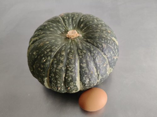 Hawkes Bay Buttercup Squash
