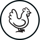 chicken icon